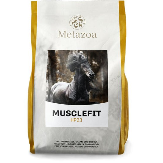 Metazoa Musclefit HP23